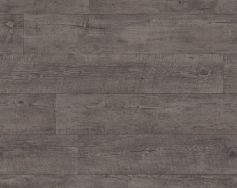 [200111120_24] Taralay Initial Compact - 0953 Ranch Anthracite